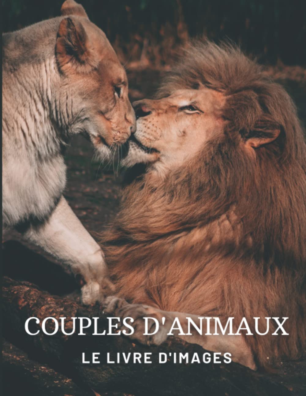 Couples d'Animaux: Le Livre des Images des Couples d'Animaux Étonnants pour les personnes âgées, les adultes atteints de démence et les patients pour aider la perte de mémoire. book
