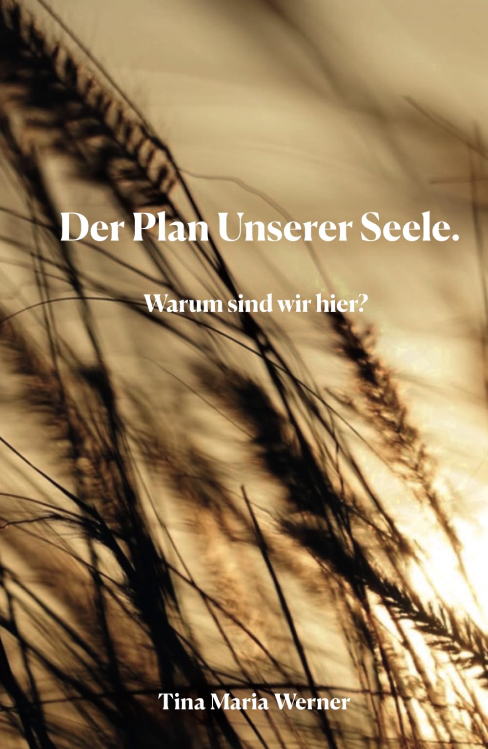 Der Plan Unserer Seele: Warum sind wir hier? Religion & Esotericism