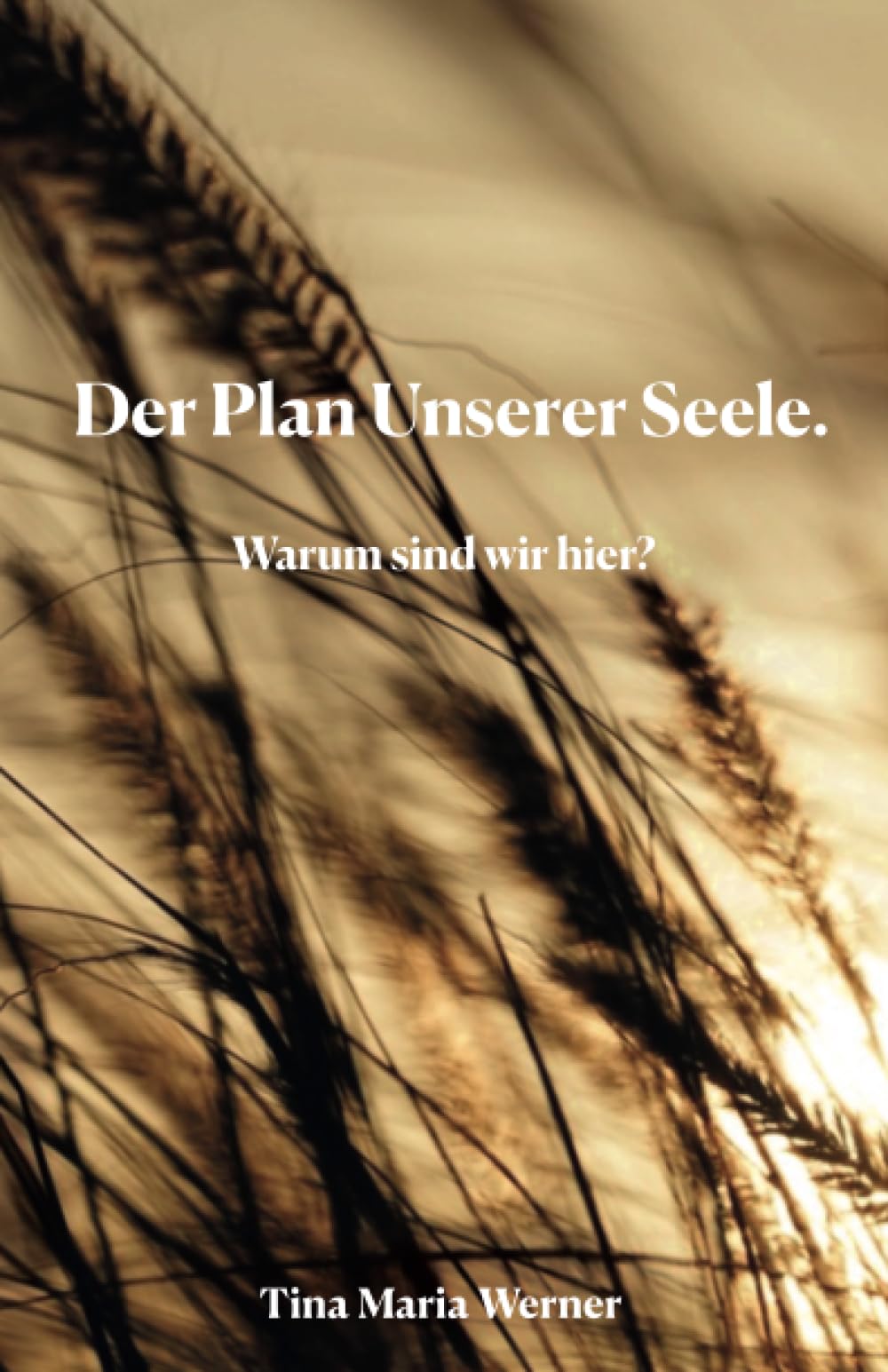 Der Plan Unserer Seele: Warum sind wir hier? Religion & Esotericism