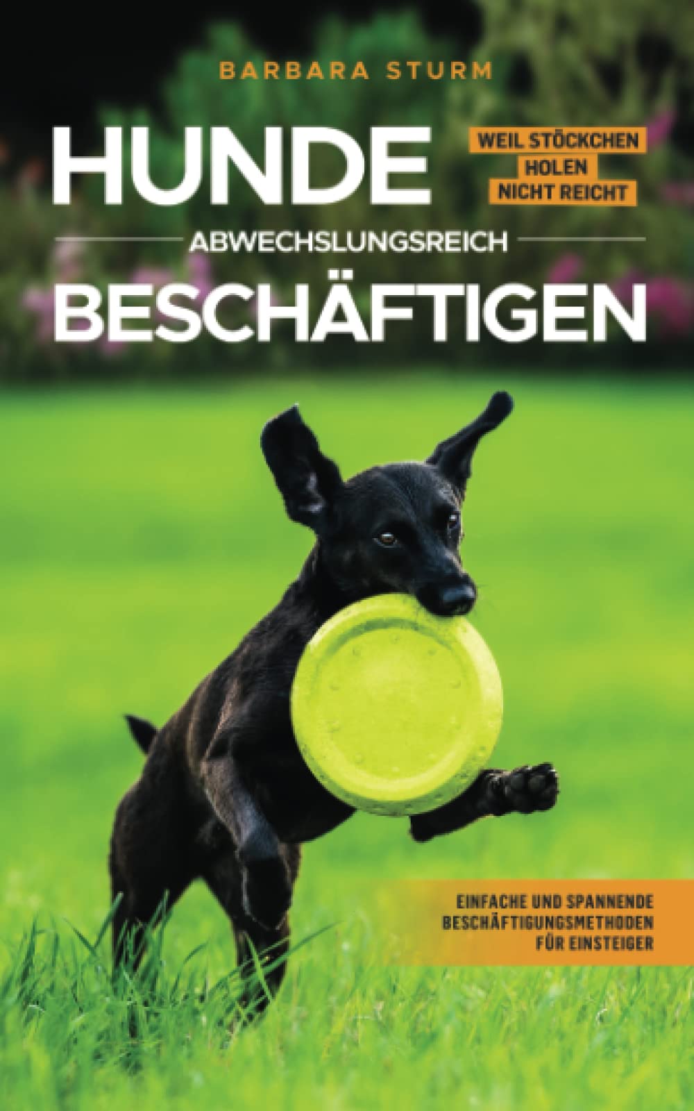 Hunde abwechslungsreich beschäftigen: Weil Stöckchen holen nicht reicht - Einfache und spannende Beschäftigungsmethoden für Einsteiger Pets