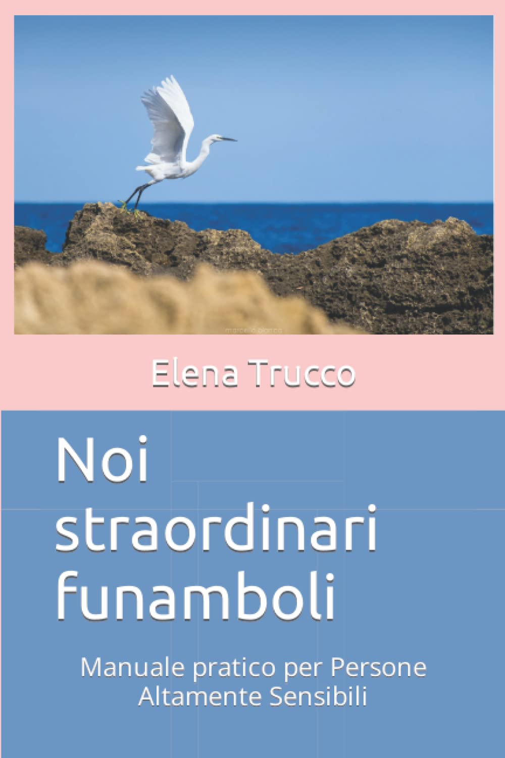 Noi straordinari funamboli: Manuale pratico per Persone Altamente sensibili Study Guides