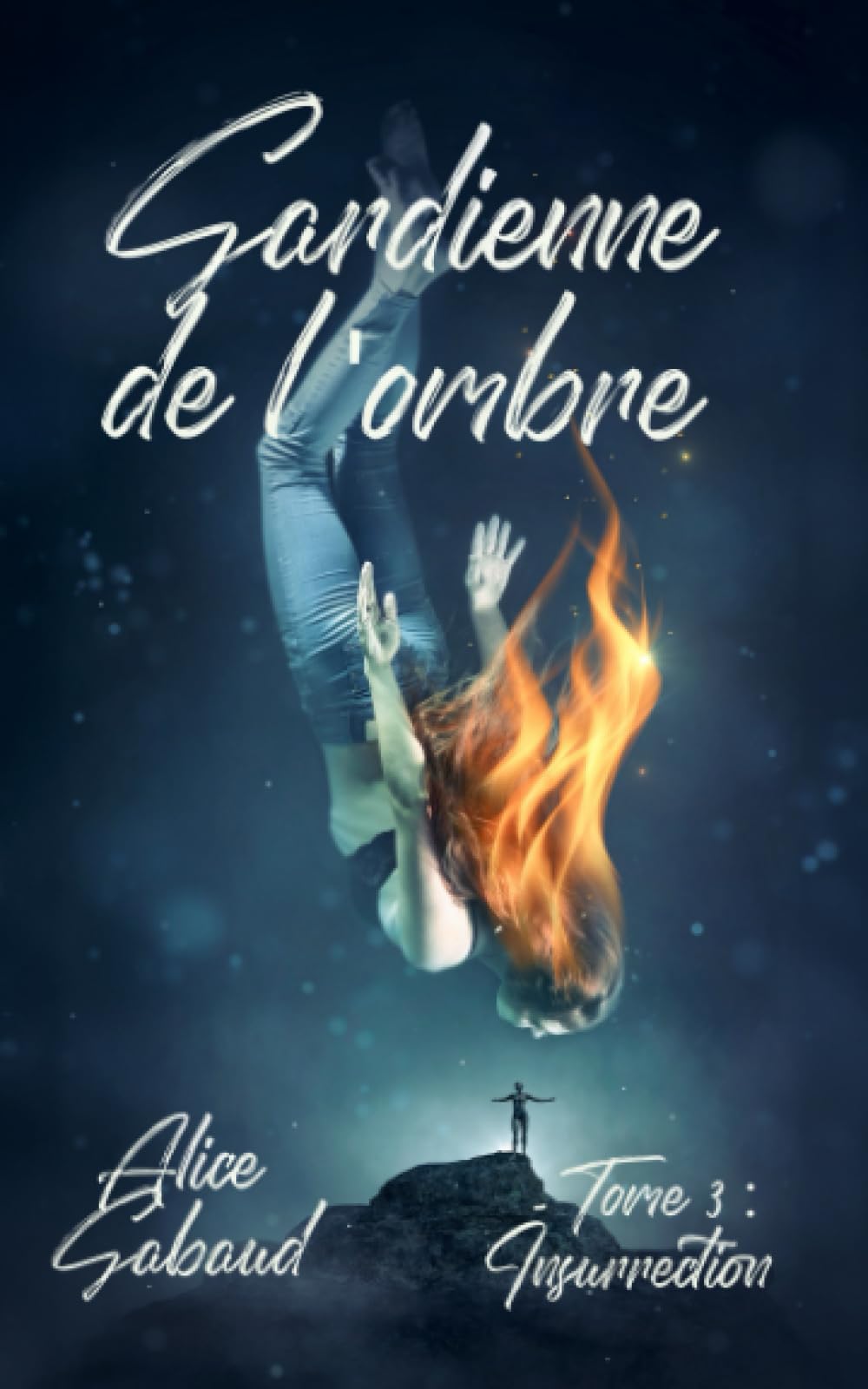 Gardienne de l'ombre: tome 3 : Insurrection book