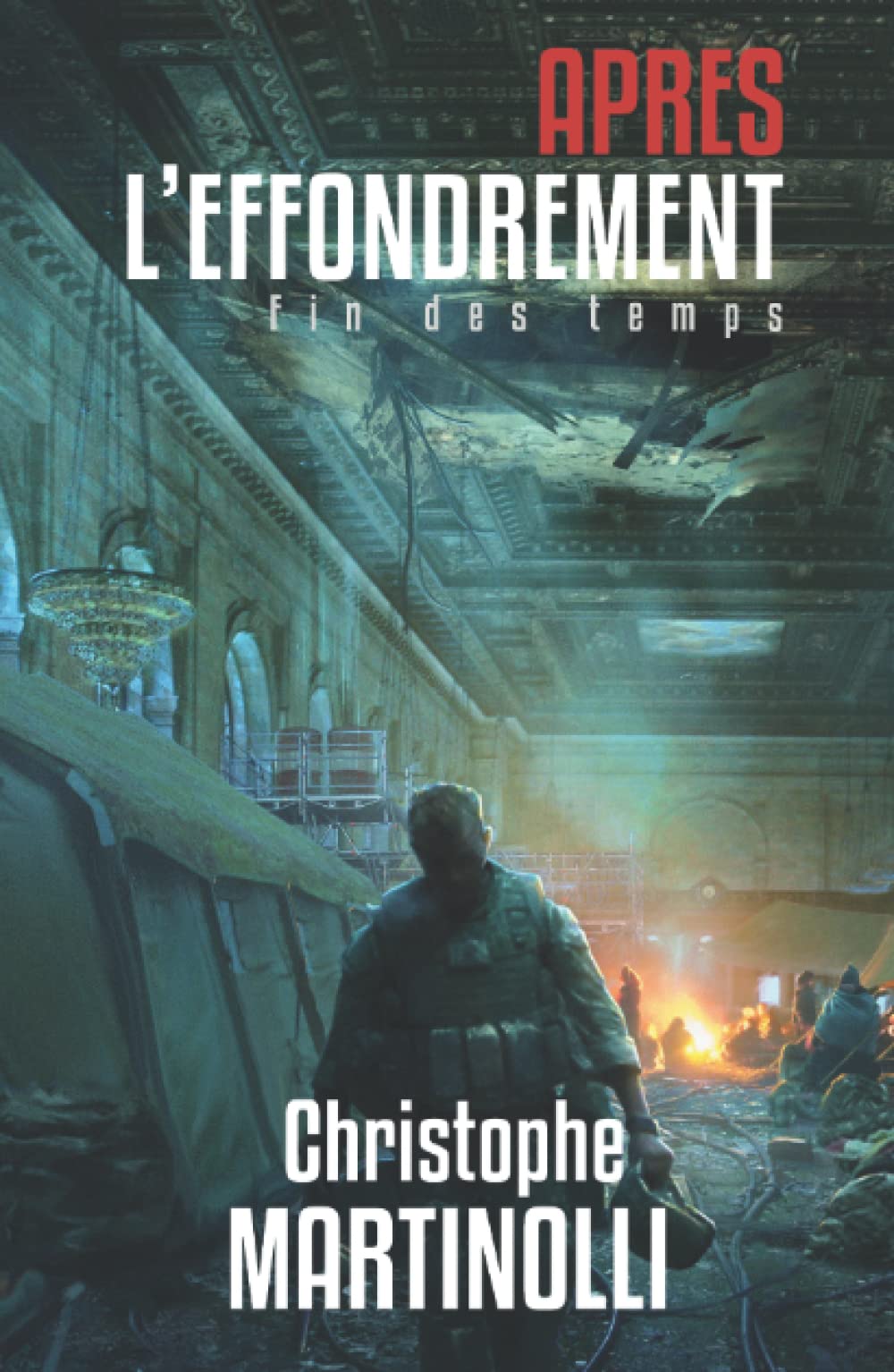 Après l'effondrement: Fin des temps book