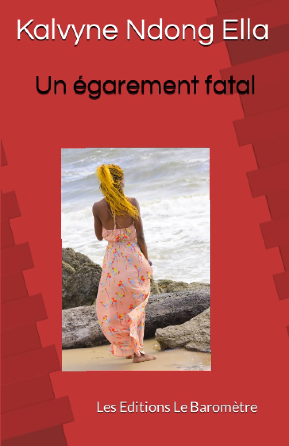 Un égarement fatal: Les Editions Le Baromètre book