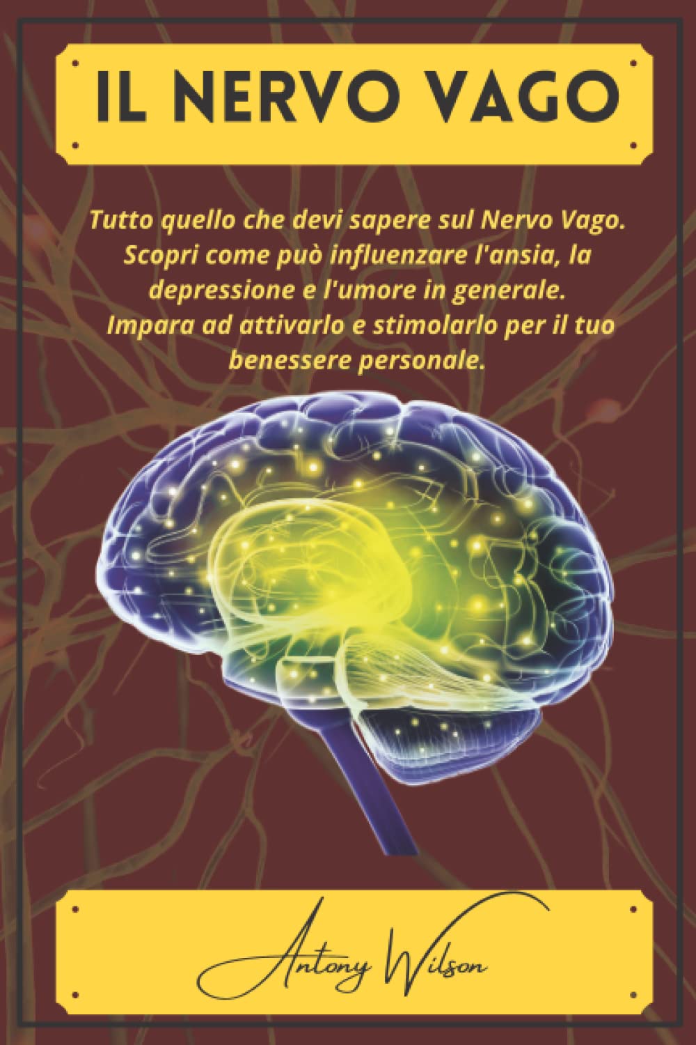 IL NERVO VAGO: Tutto quello che devi sapere sul nervo vago. Scopri come può influenzare l'ansia, la depressione e l'umore in generale. Impara ad attivarlo e stimolarlo per il tuo benessere personale. book