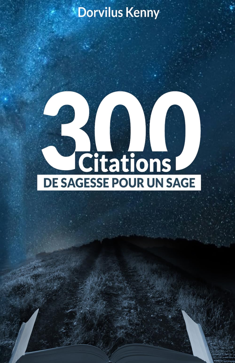 300 citations de sagesse pour un sage book
