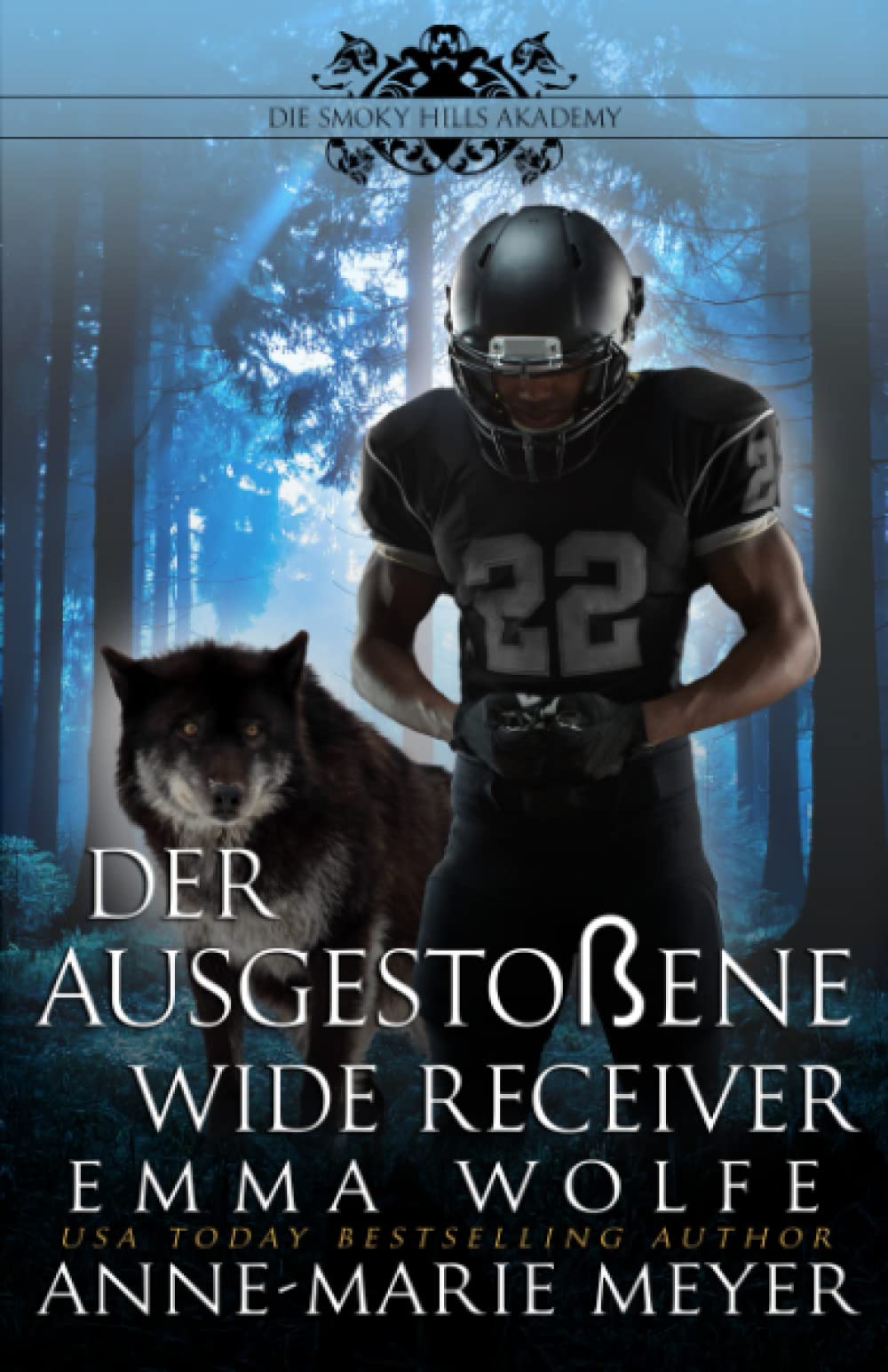 Der ausgestoßene Wide Receiver: Eine paranormale Romanze book