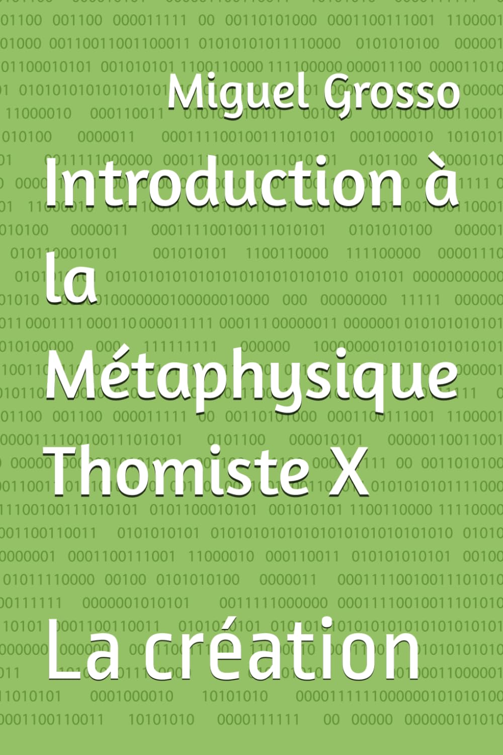 Introduction à la Métaphysique Thomiste X: La création book