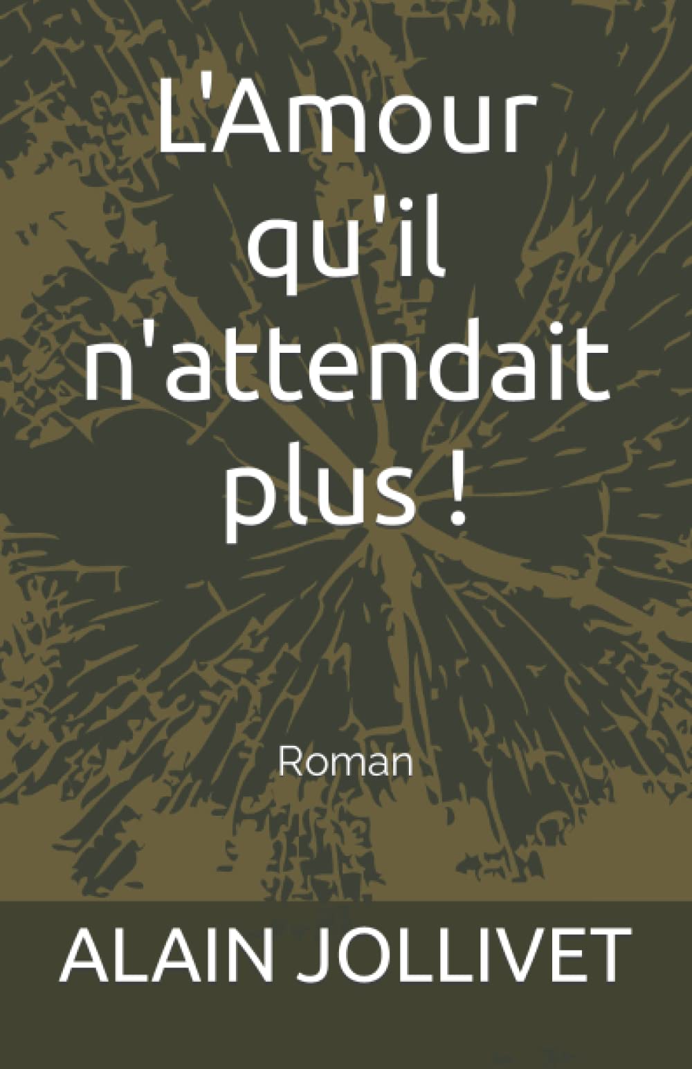 L'Amour qu'il n'attendait plus ! book