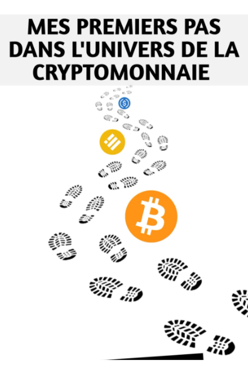 MES PREMIERS PAS DANS L'UNIVERS DE LA CRYPTOMONNAIE: Débuter avec succès, les investissements sur la cryptomonnaie. book