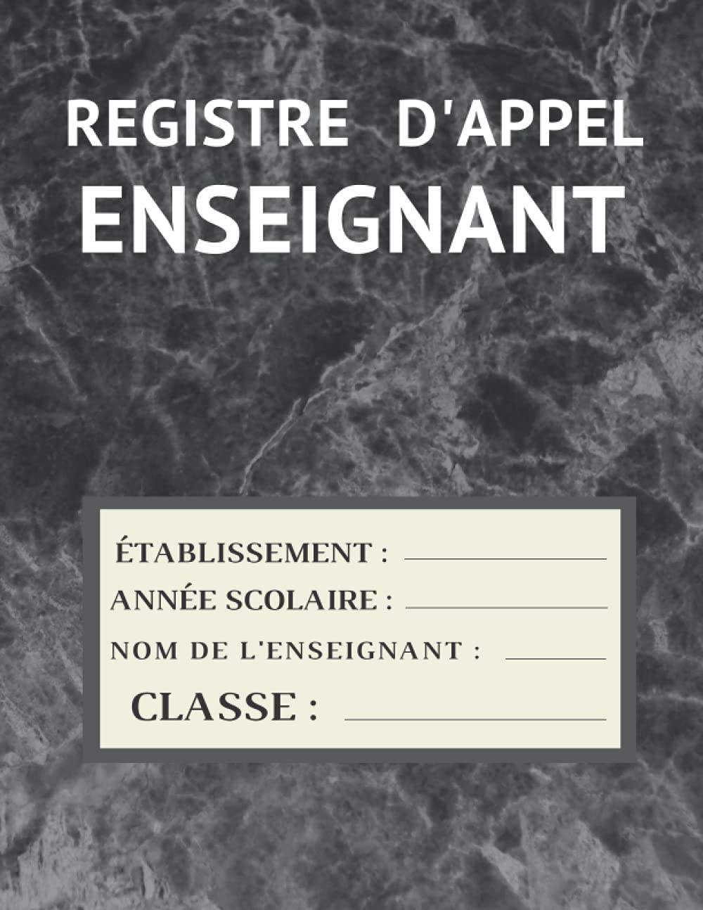 Registre d'appel enseignant: Cahier de présence journalier pour les professeurs des écoles, collèges et lycées | 120 pages Social Sciences