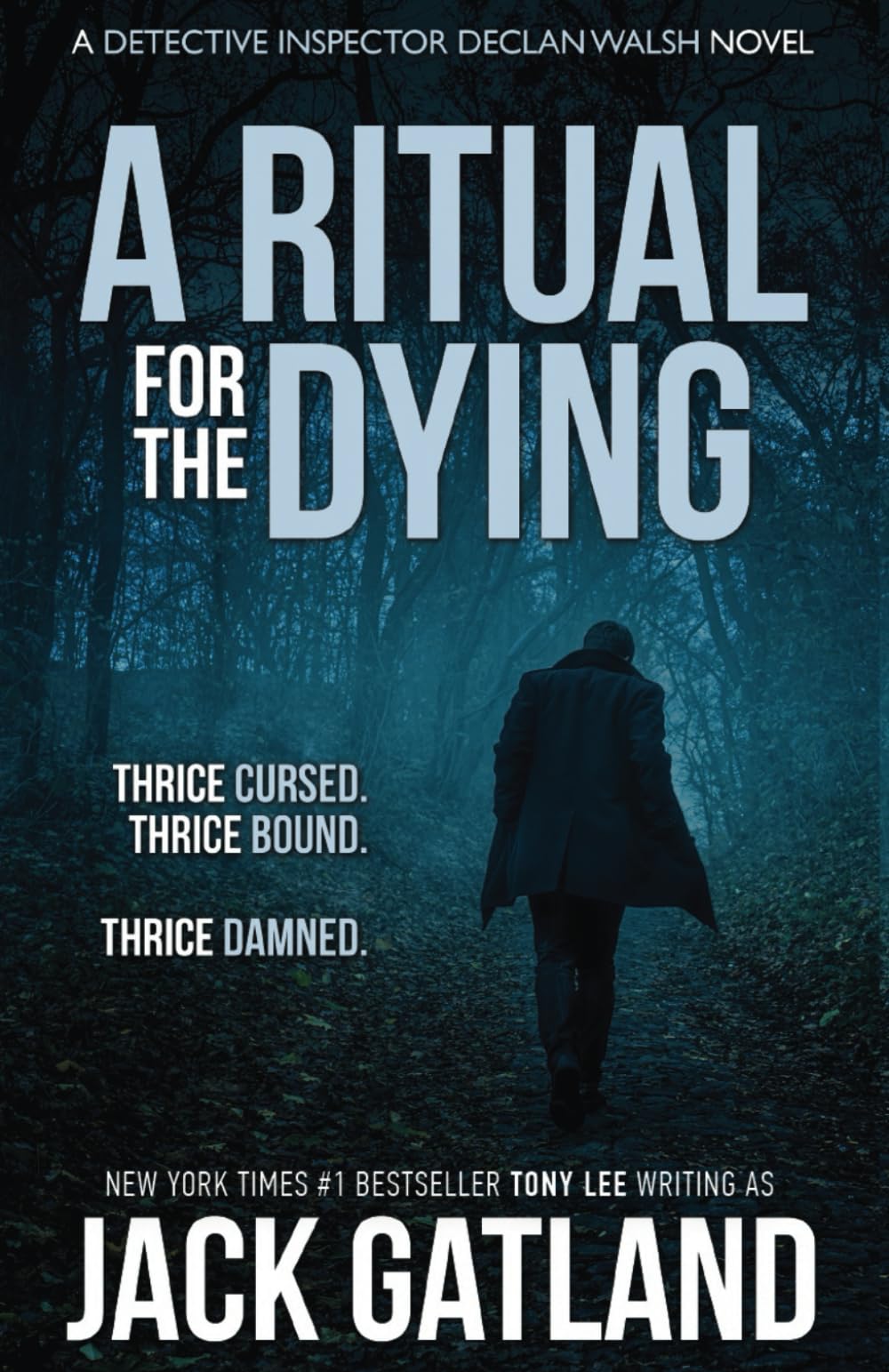A Ritual For the Dying: (Detective Inspector Declan Walsh Crime Series Book 6) book