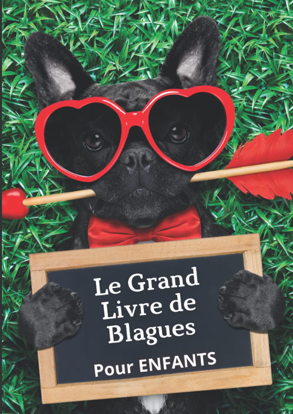 Le Grand Livre de blagues pour ENFANTS: + de 130 histoires drôles book