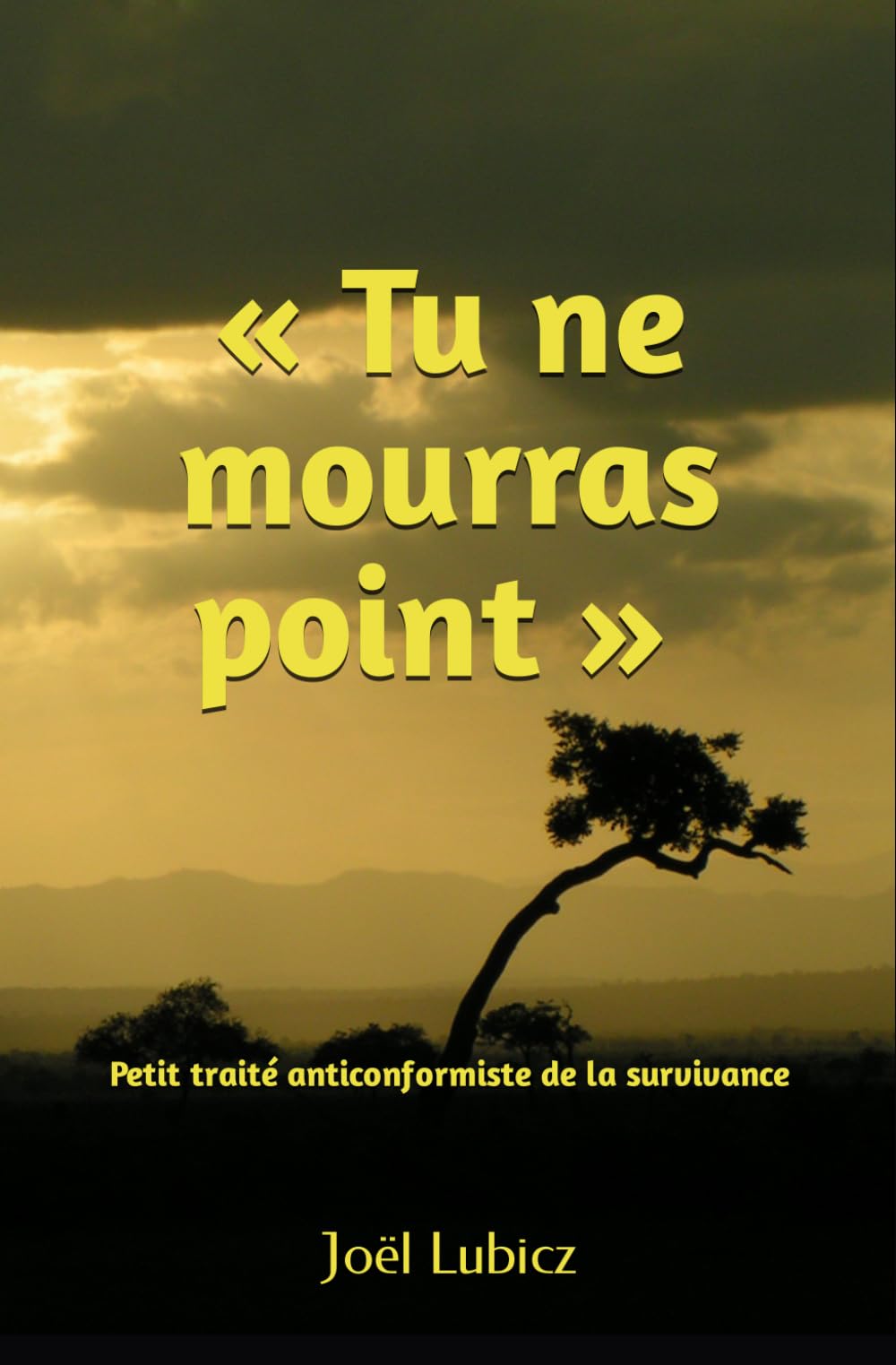Tu ne mourras point: Petit traité anticonformiste de la survivance book