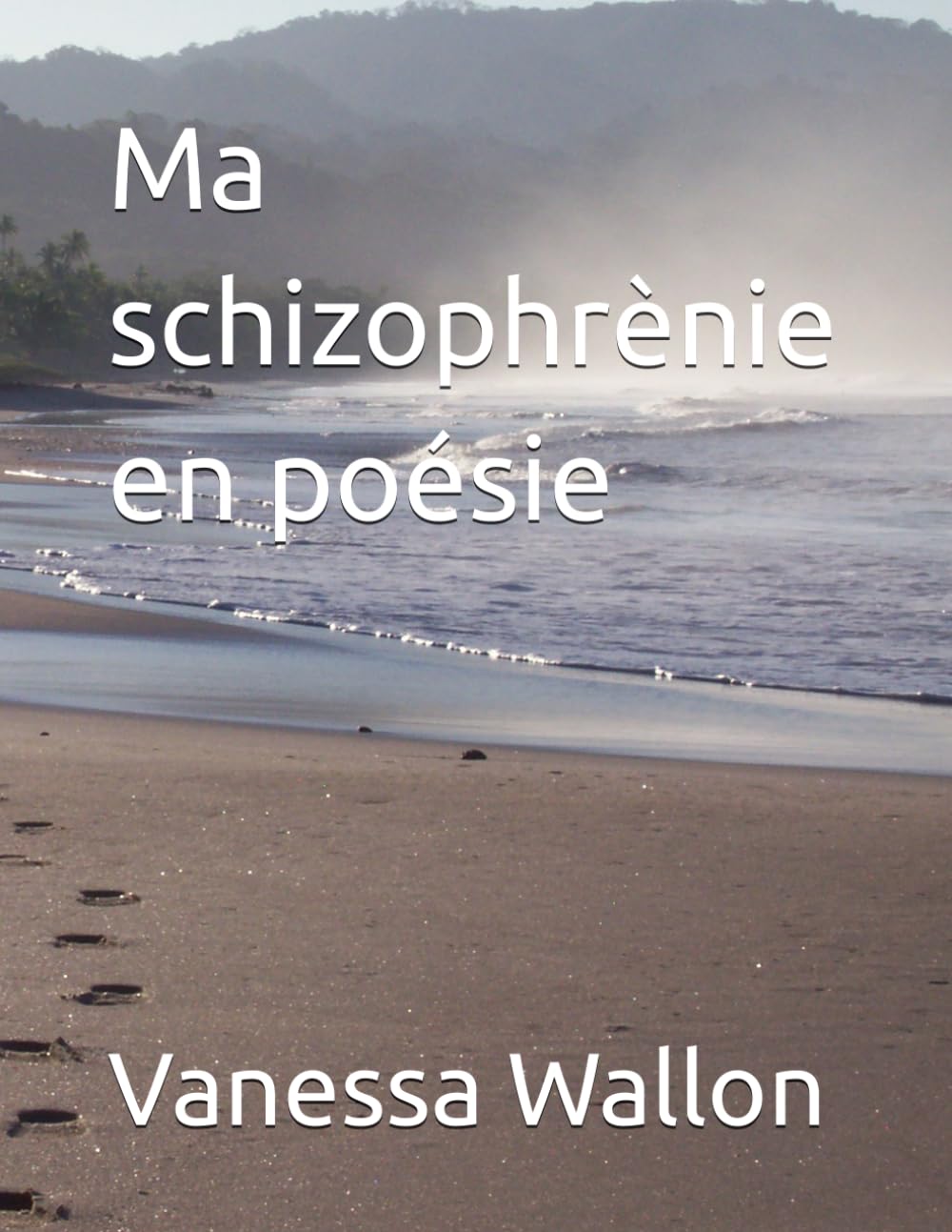 Ma schizophrènie en poésie book