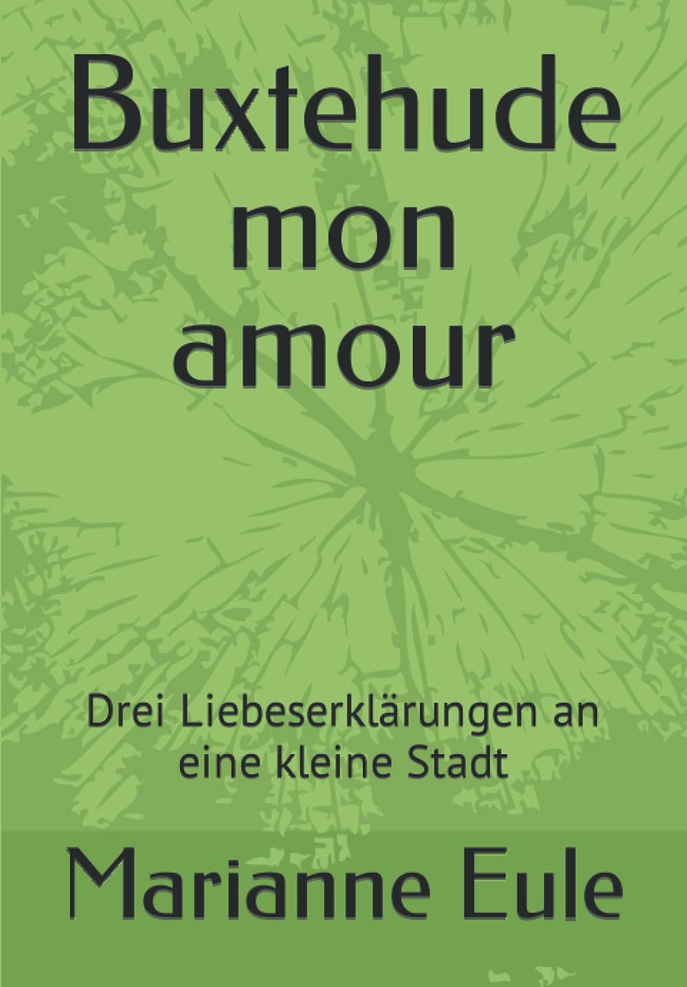 Buxtehude mon amour: Drei Liebeserklärungen an eine kleine Stadt Politics & History