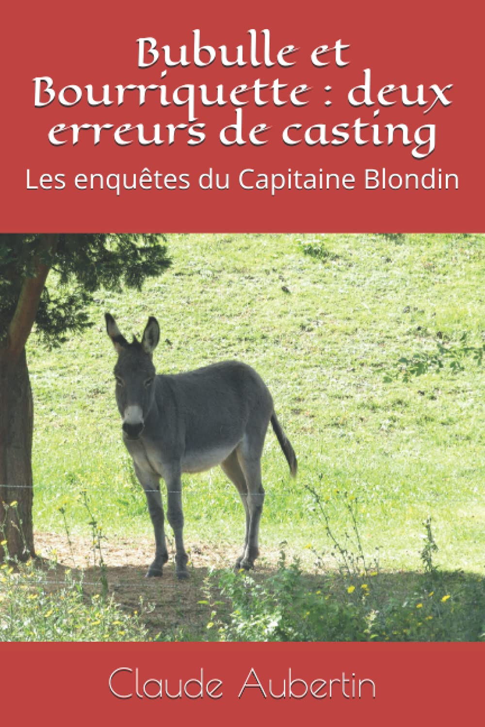 Bubulle et Bourriquette : deux erreurs de casting: Les enquêtes du Capitaine Blondin Contemporary literature