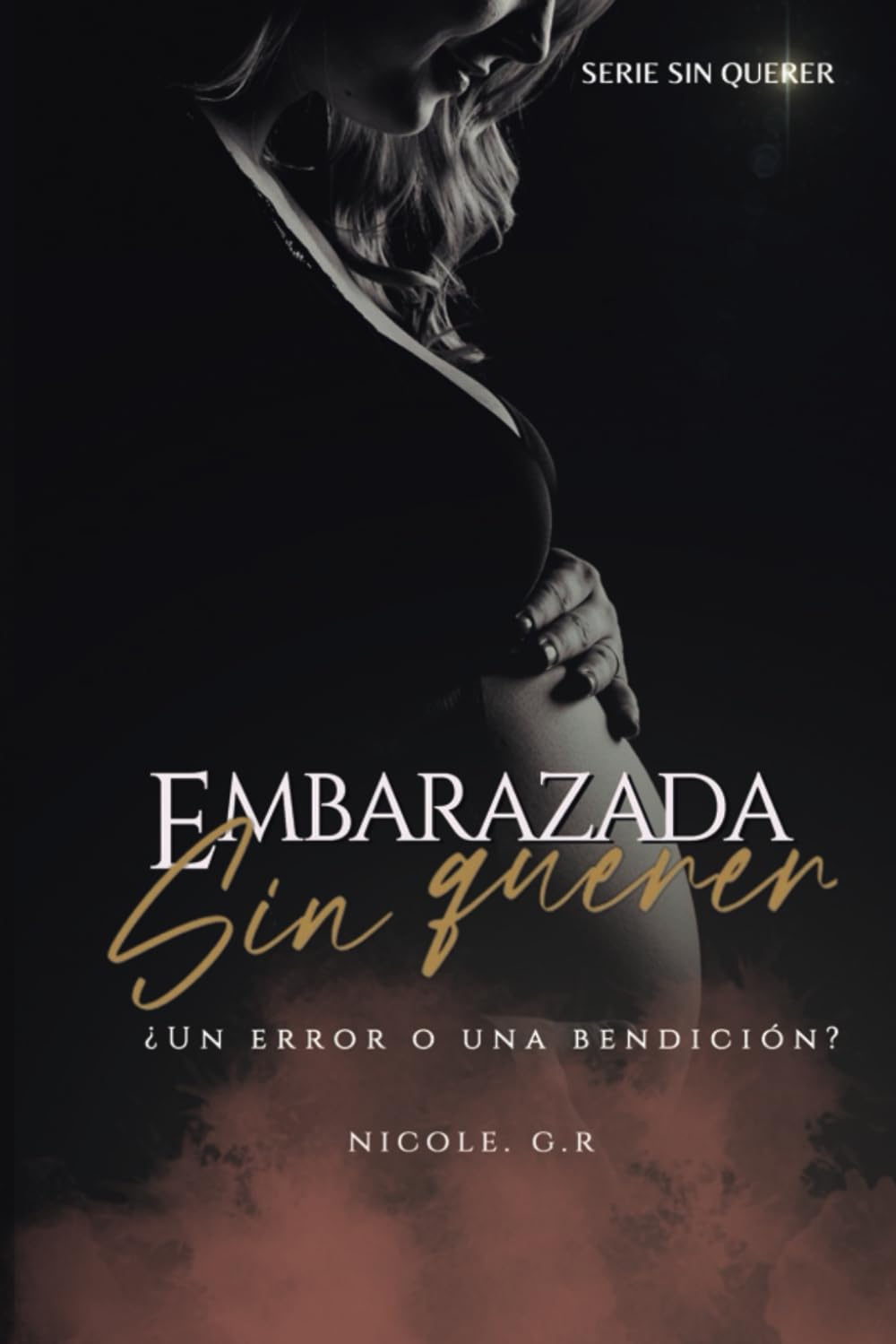 Embarazada sin querer: Esta no es la típica novela romántica jefe–secretaria, no, esto es algo más. book