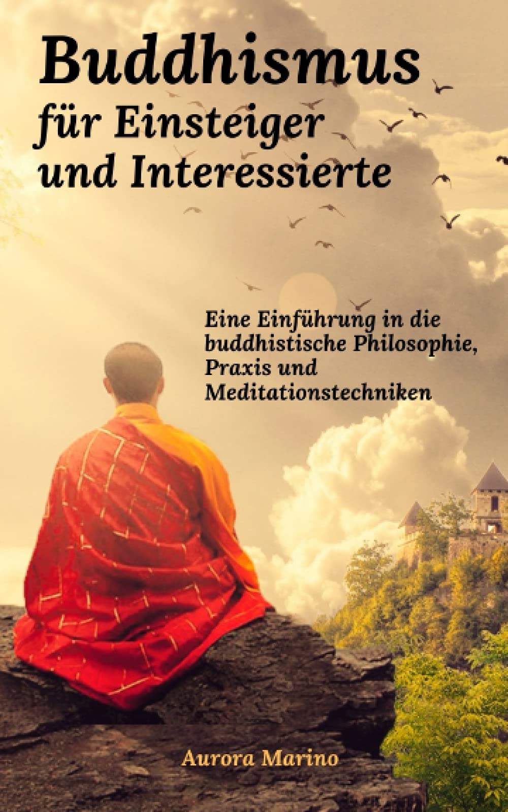 Buddhismus für Einsteiger und Interessierte: Eine Einführung in die buddhistische Philosophie, Praxis und Meditationstechniken (Spirituelle Heilung und Ganzwerdung) Philosophy