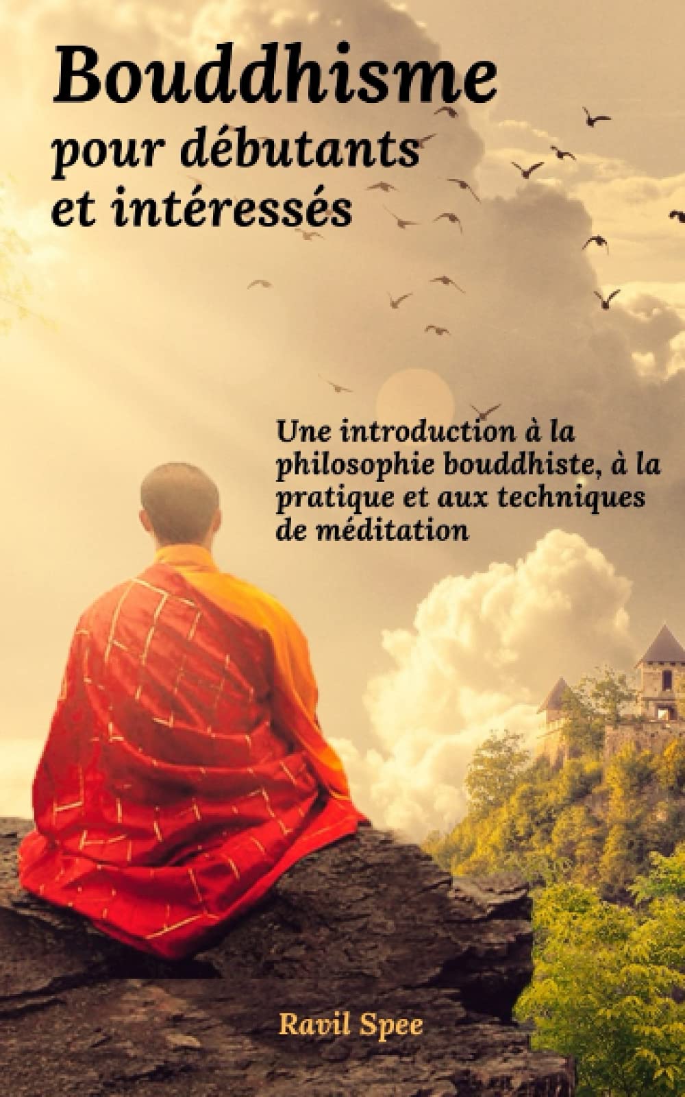 Bouddhisme pour débutants et intéressés: Une introduction à la philosophie bouddhiste, à la pratique et aux techniques de méditation Philosophy