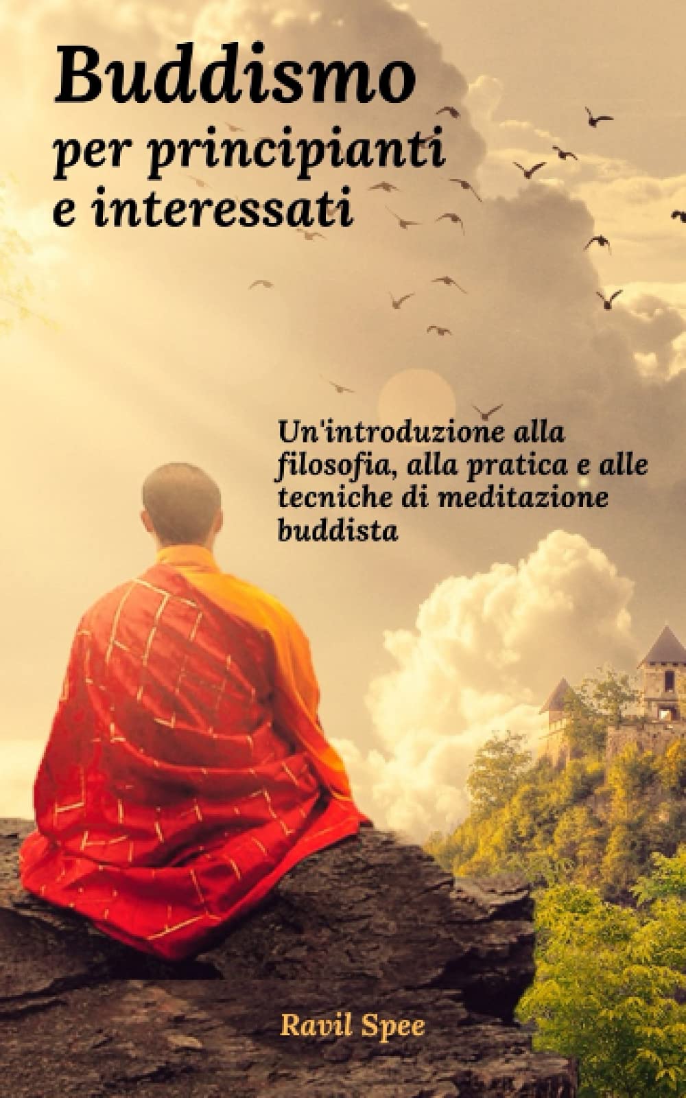 Buddismo per principianti e interessati: Un'introduzione alla filosofia, alla pratica e alle tecniche di meditazione buddista Philosophy