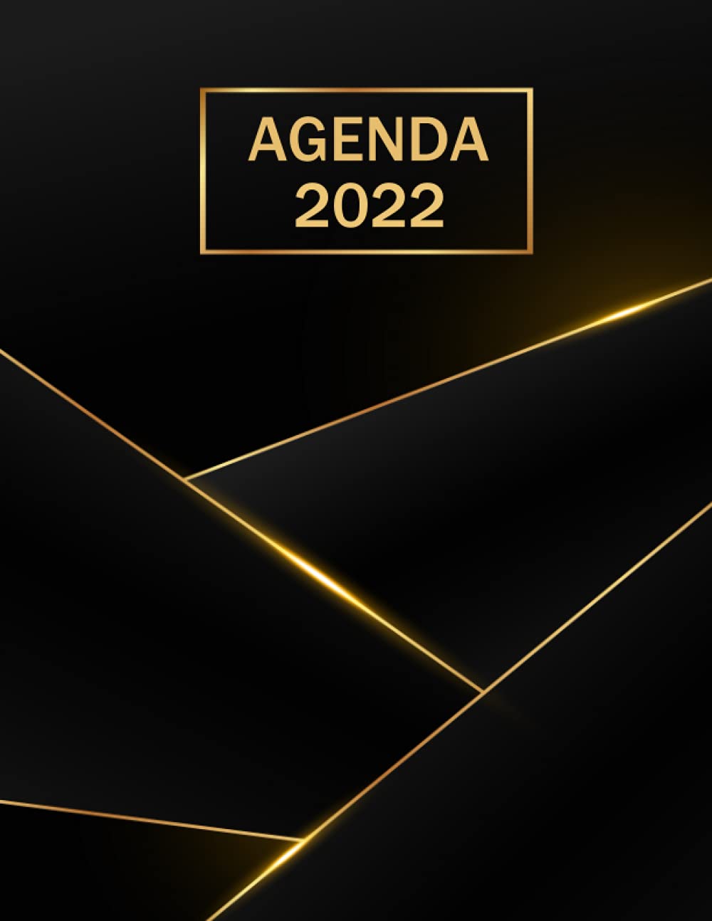 Agenda 2022: Journalier 365 jours 1 page par jour , 12 mois de janvier à décembre 2022, format A4. book
