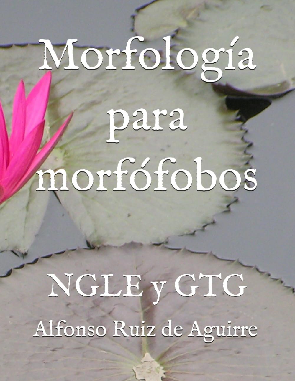 Morfología para morfófobos: NGLE y GTG Foreign Languages ​​& Dictionaries