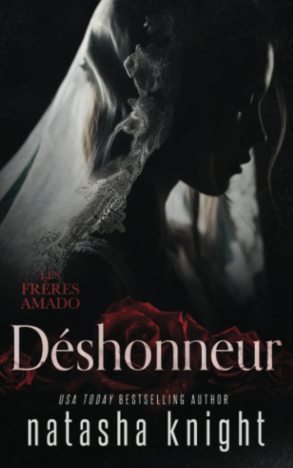 Déshonneur (Les Frères Amado, Band 1) Contemporary literature
