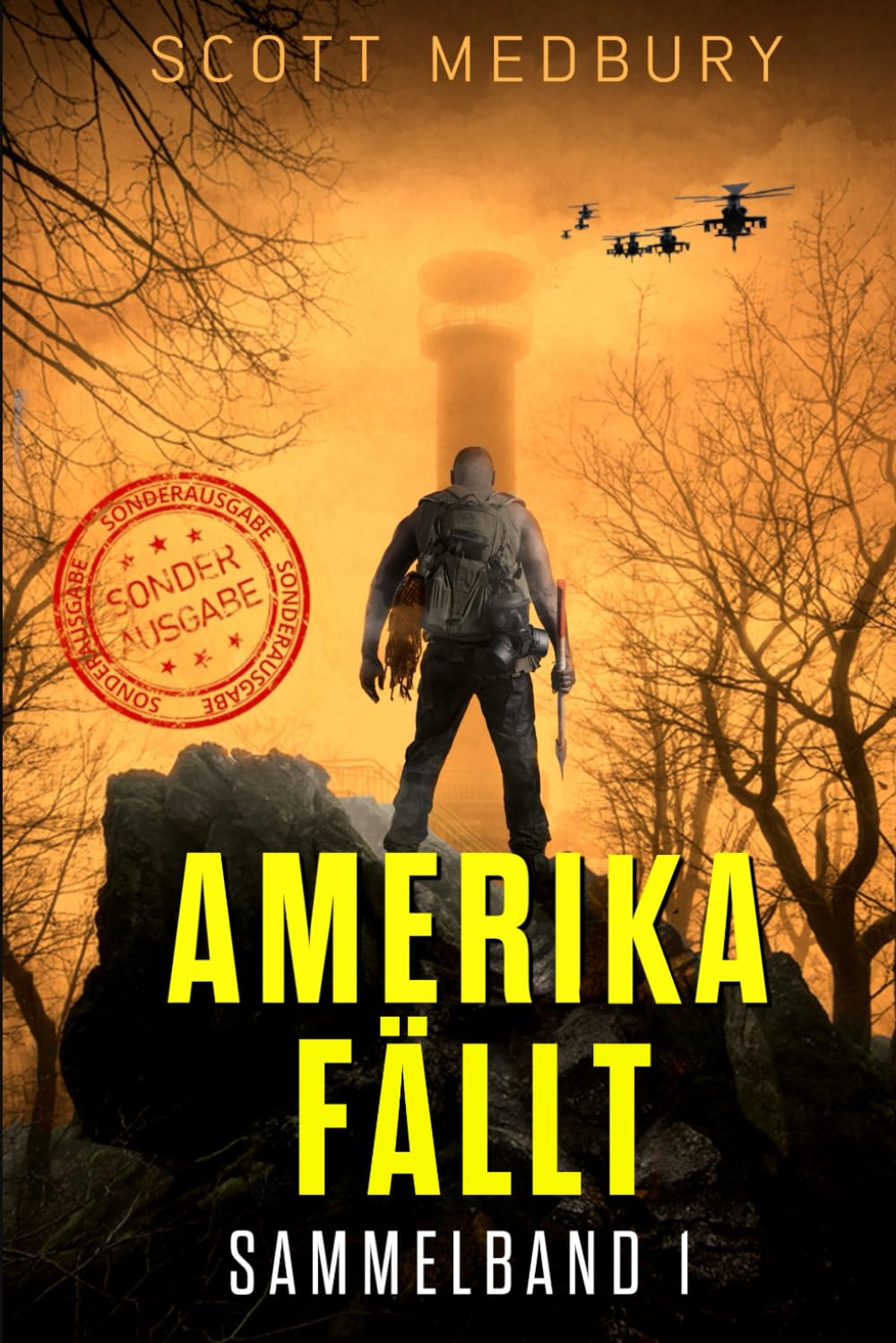 Amerika fällt: Bücher 1-3 (Amerika fällt - Taschenbuchsammlungen, Band 1) Dystopia & Post-Apocalypse