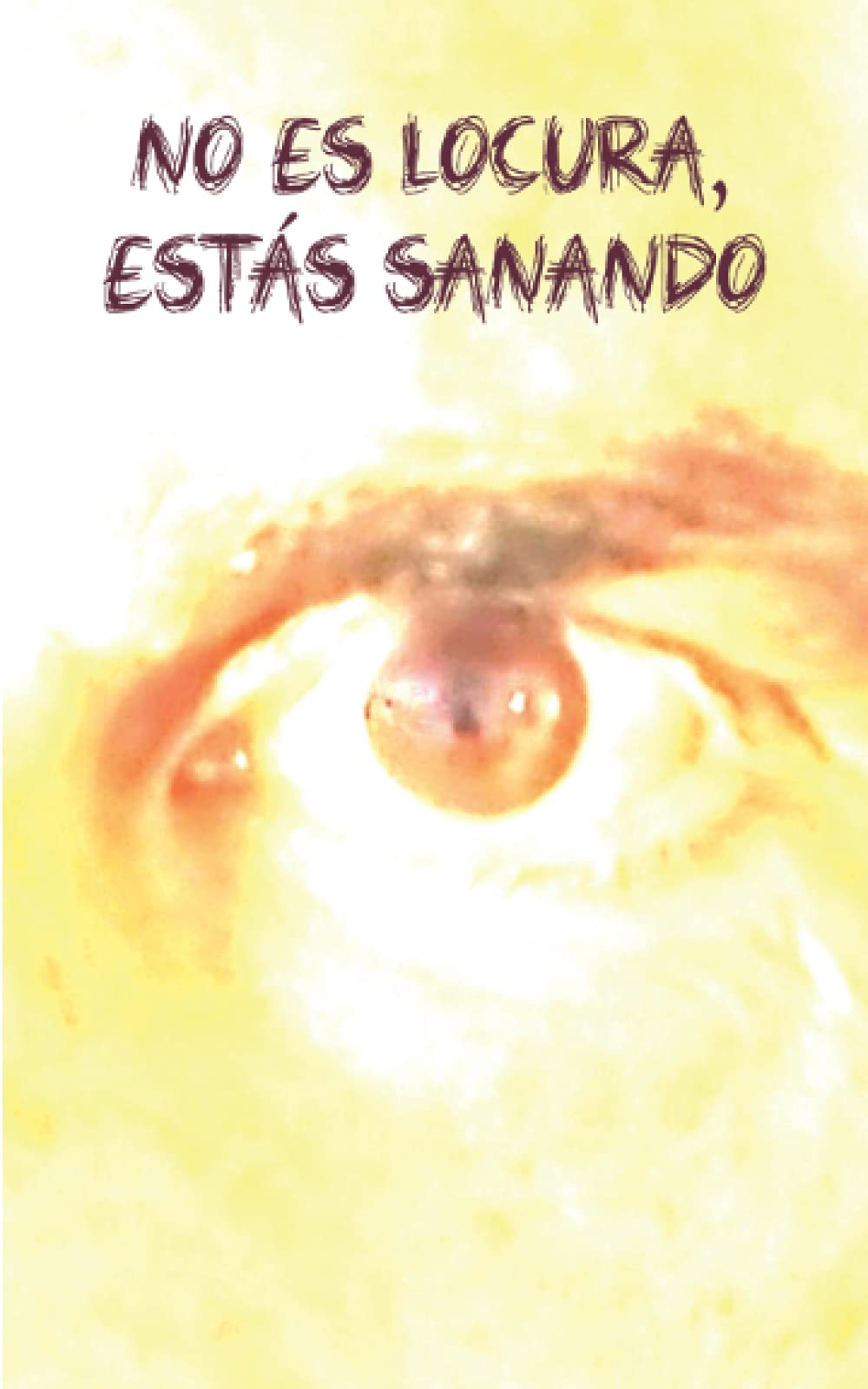 No Es Locura, Estás Sanando book