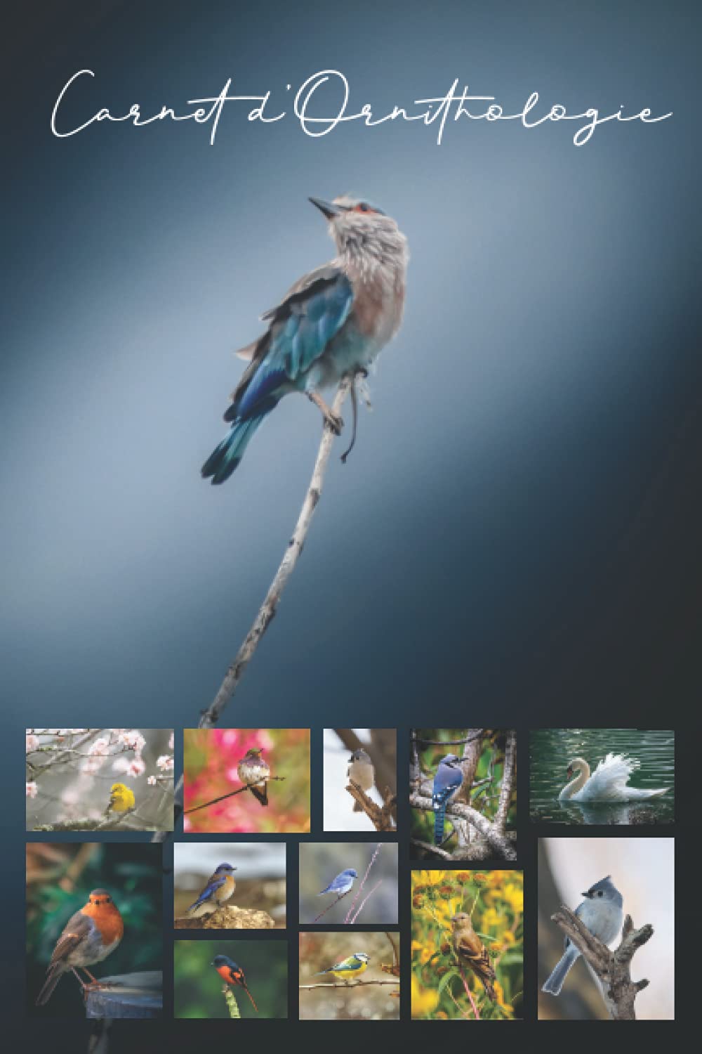 Carnet d'Ornithologie Mathematics