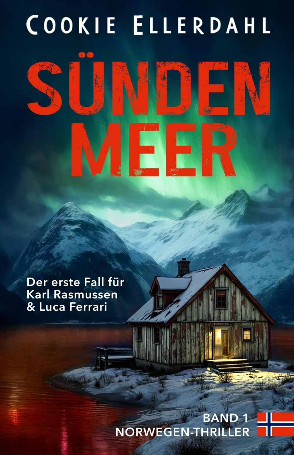 Sündenmeer: Der erste Fall für Karl Rasmussen & Luca Ferrari - Norwegen-Thriller Social Sciences