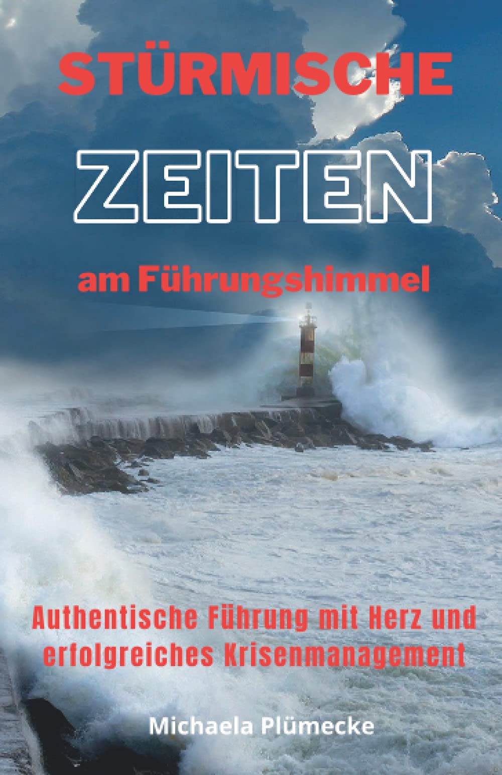 Stürmische Zeiten am Führungshimmel: Authentische Führung mit Herz und erfolgreiches Krisenmanagement Business, Finance & Career
