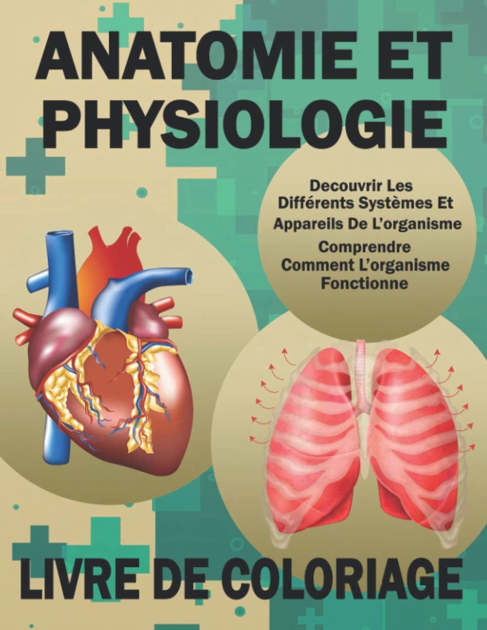 Anatomie Et Physiologie Livre De Coloriage: Anatomie, Biologie Et Physiologie Humaine De Base Pour Les Futurs Médecins Et Infirmiers Medicine