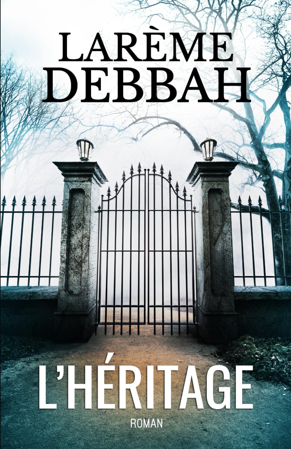 L'Héritage (Thriller et suspense psychologiques) Suspense & Thrillers