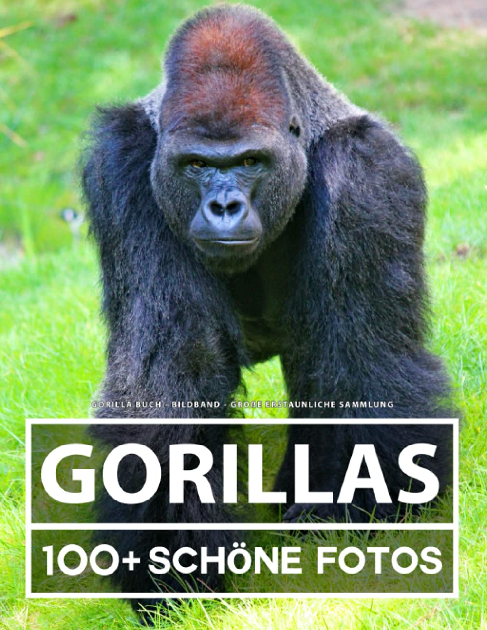 Gorilla Buch - Bildband - Große Erstaunliche Sammlung: 100 Wunderschöne Bildern - Für Kinder und Erwachsene book