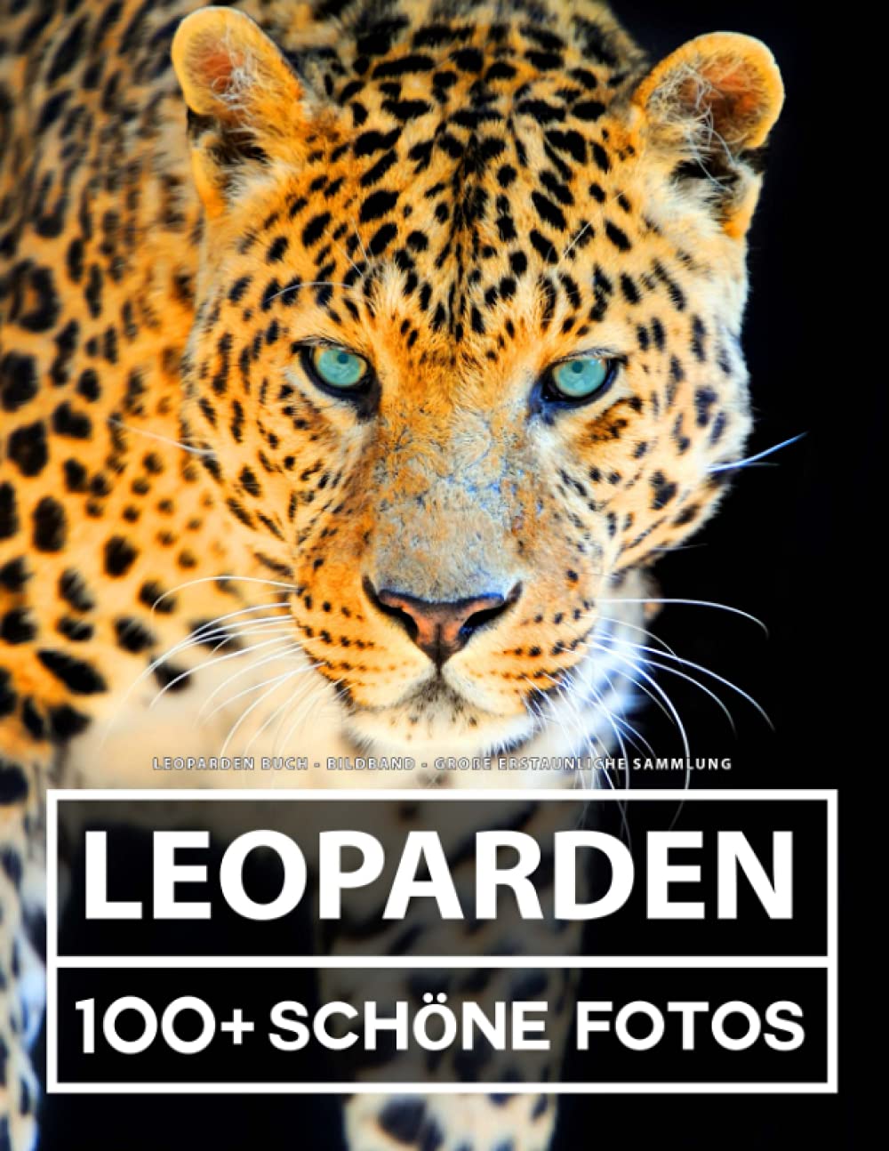 Leoparden Buch - Bildband - Große Erstaunliche Sammlung: 100 Wunderschöne Bildern - Für Kinder und Erwachsene Nature & Animals