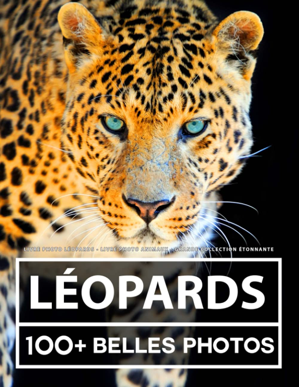 Livre Photo Léopards - Livre Photo Animaux - Grande Collection Étonnante: 100 Belles Photos Dans Ce Fantastique Livre De Léopard - Pour Enfants Et Adultes Nature & Animals