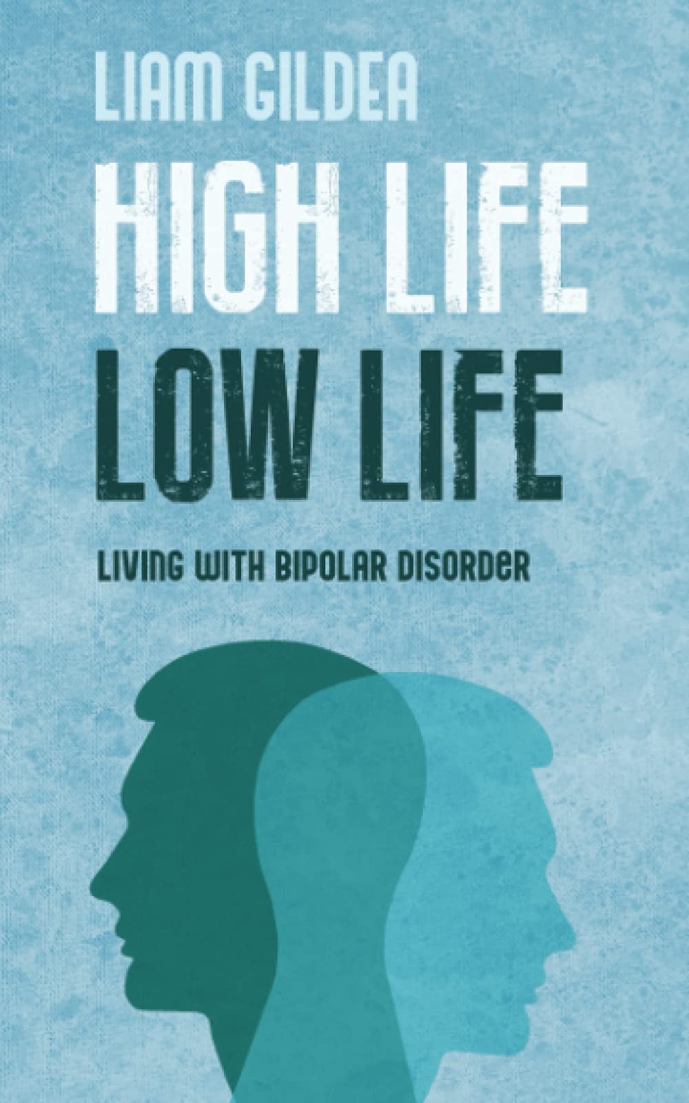 HIGH LIFE LOW LIFE: Living with bipolar disorder Health, Nutrition & Fitness