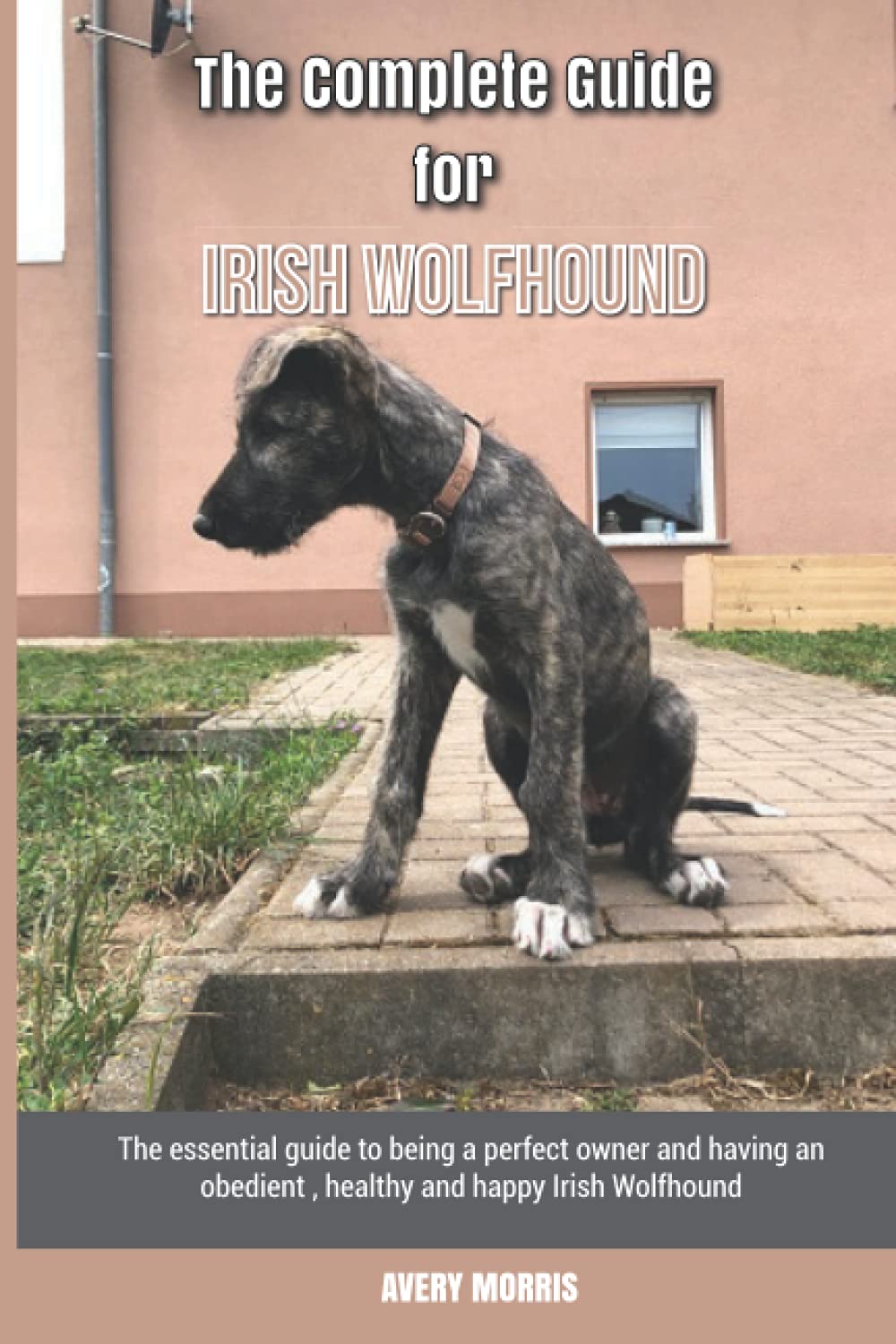 The Complete Guide for Irish Wolfhound: The essential guide to being a perfect owner and having an obedient, healthy, and happy Irish Wolfhound Pets