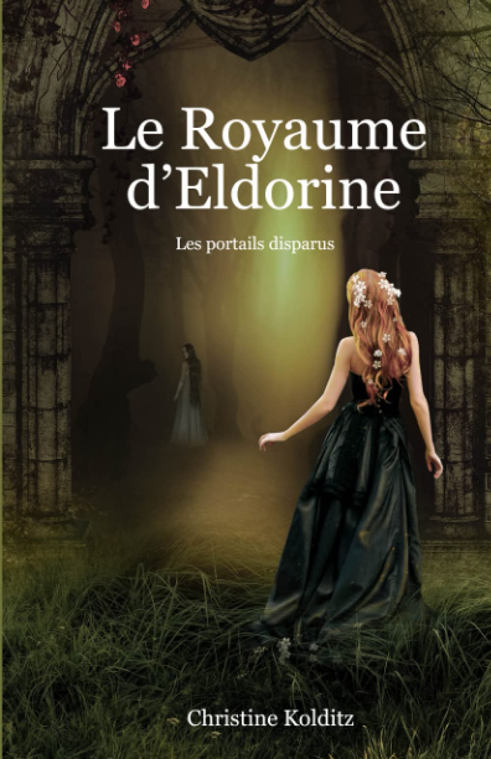 Le Royaume d'Eldorine: Les portails disparus book