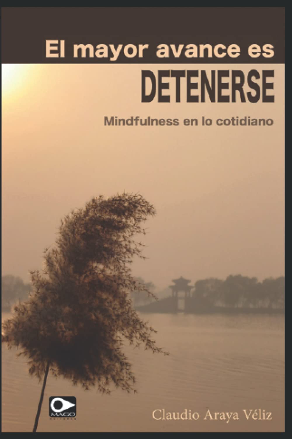 El mayor avance es detenerse: mindfulness en lo cotidiano Medicine