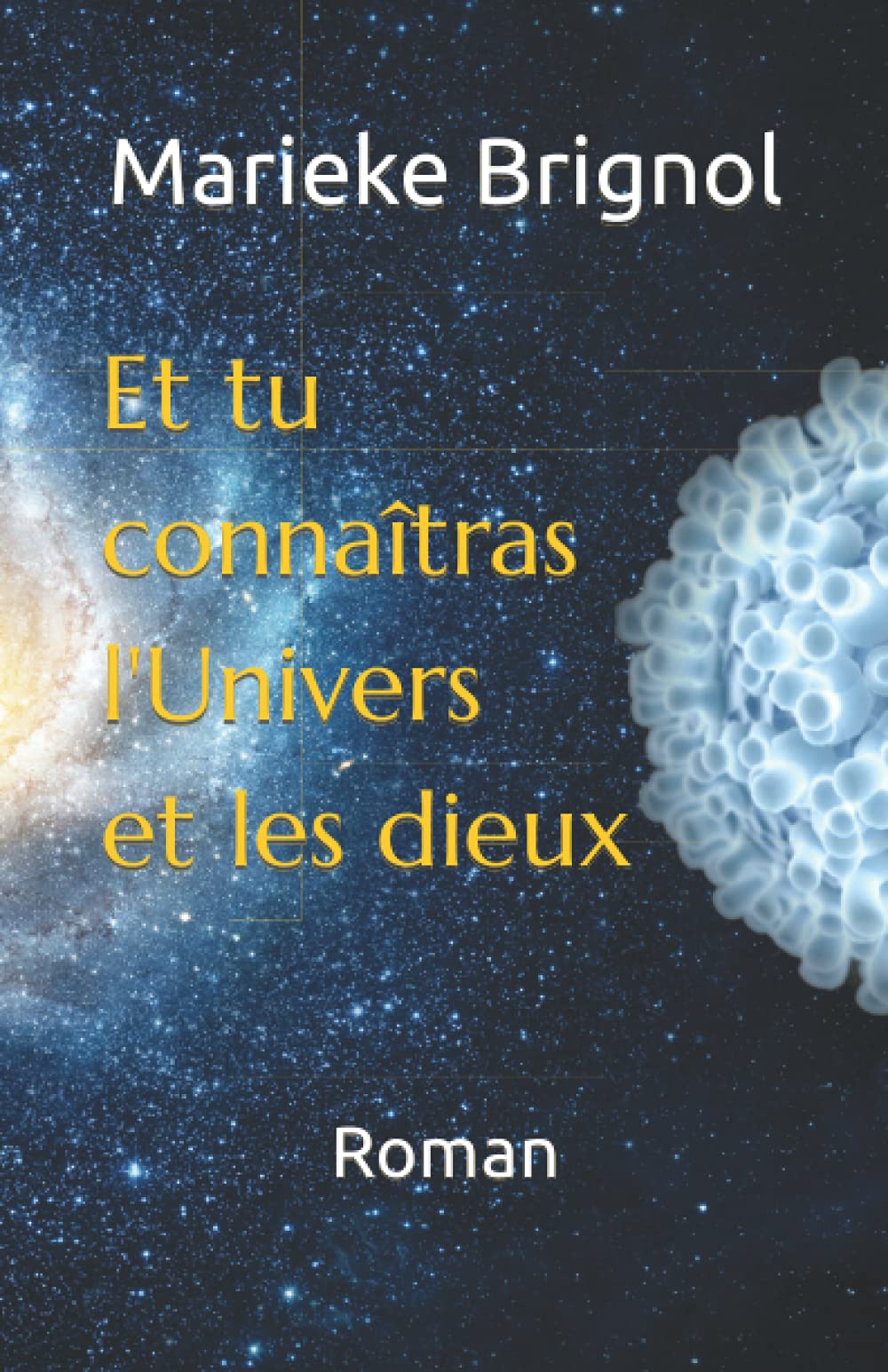 Et tu connaîtras l'Univers et les dieux: Roman book