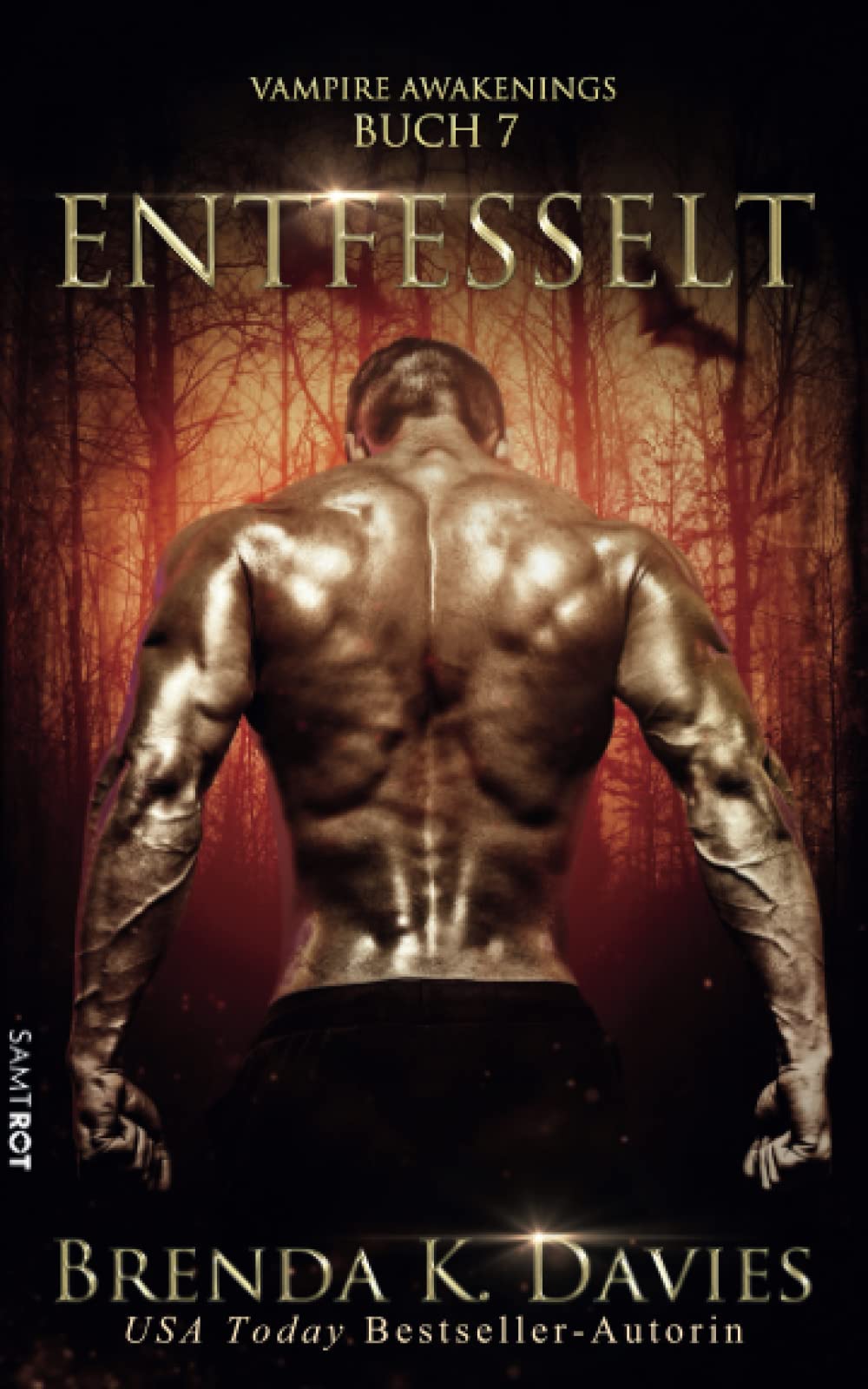 Entfesselt (Vampire Awakenings, Band 7) Contemporary literature