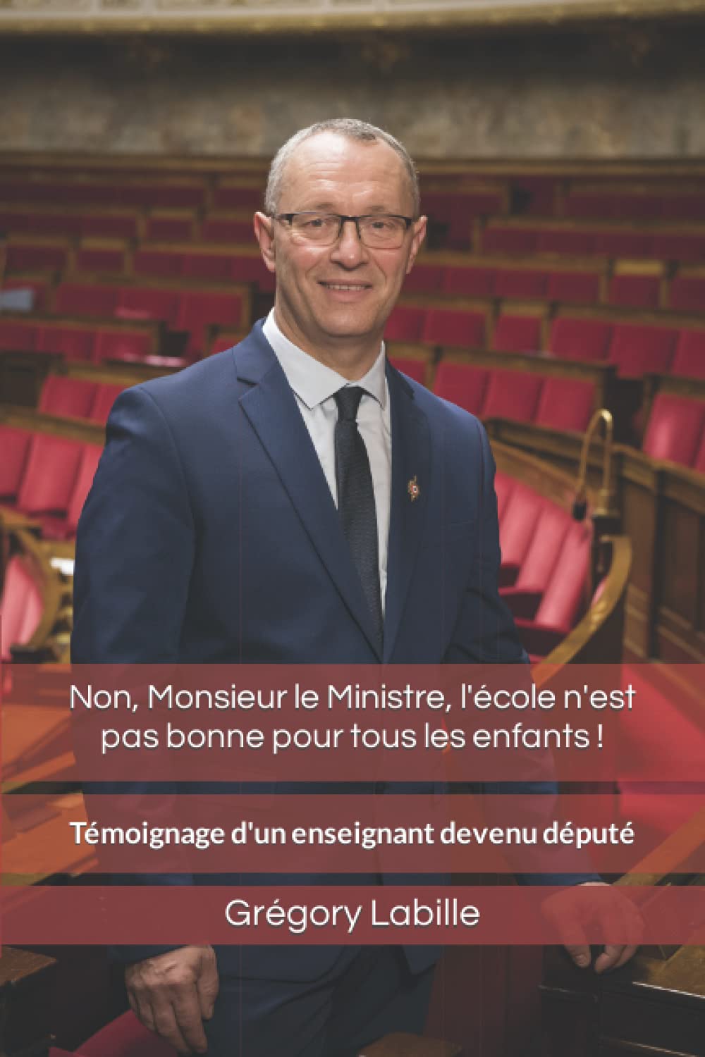 Non, Monsieur le Ministre, l'école n'est pas bonne pour tous les enfants: Témoignage d'un enseignant devenu député Politics & History