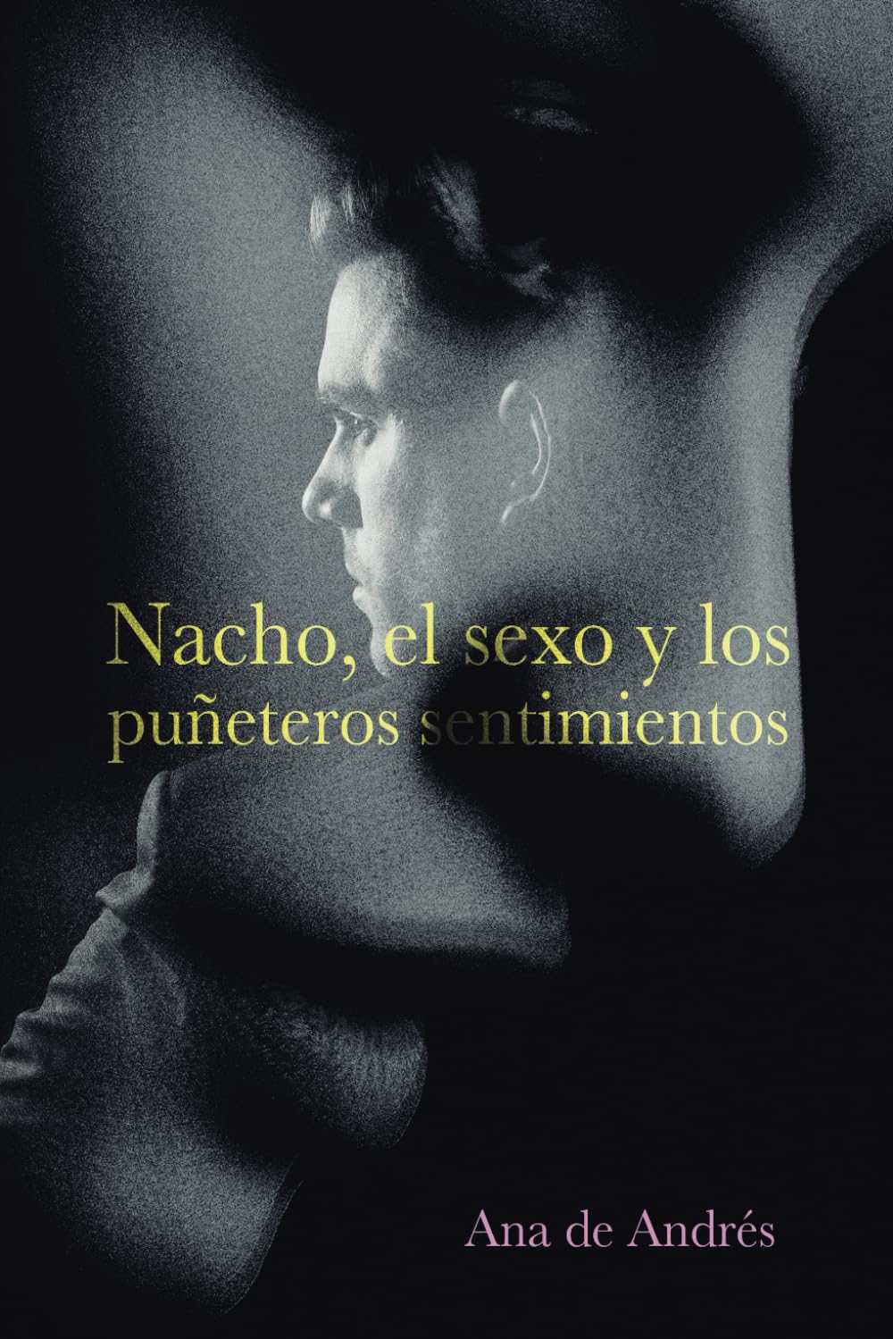 Nacho, el sexo y los puñeteros sentimientos book