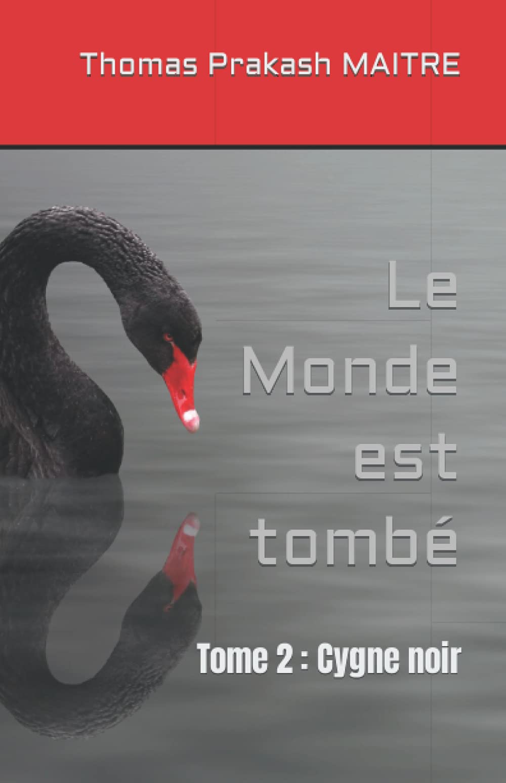 Le Monde est tombé Tome 2: Tome 2 : Cygne noir Contemporary literature