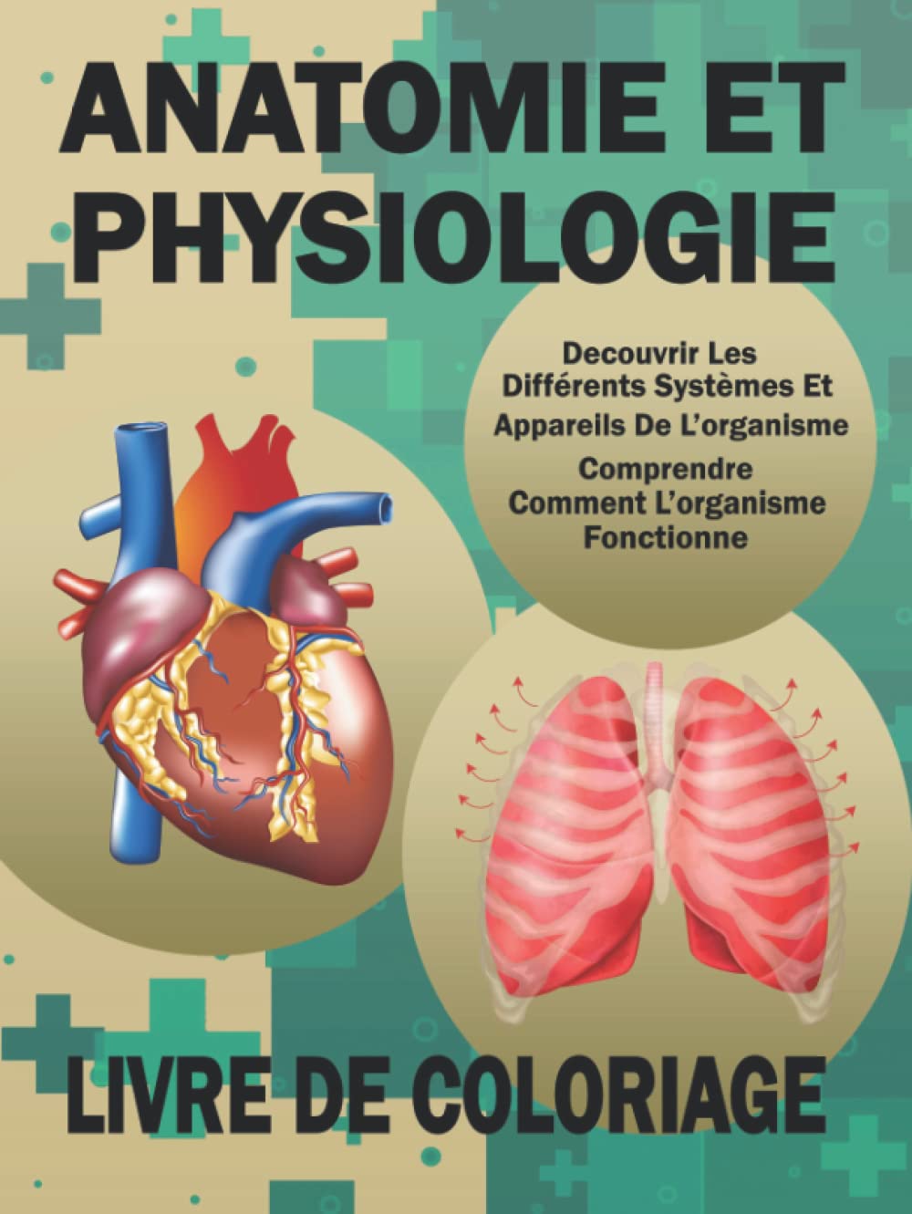 Anatomie Et Physiologie Livre De Coloriage: Anatomie, Biologie Et Physiologie Humaine De Base Pour Les Futurs Médecins Et Infirmiers book