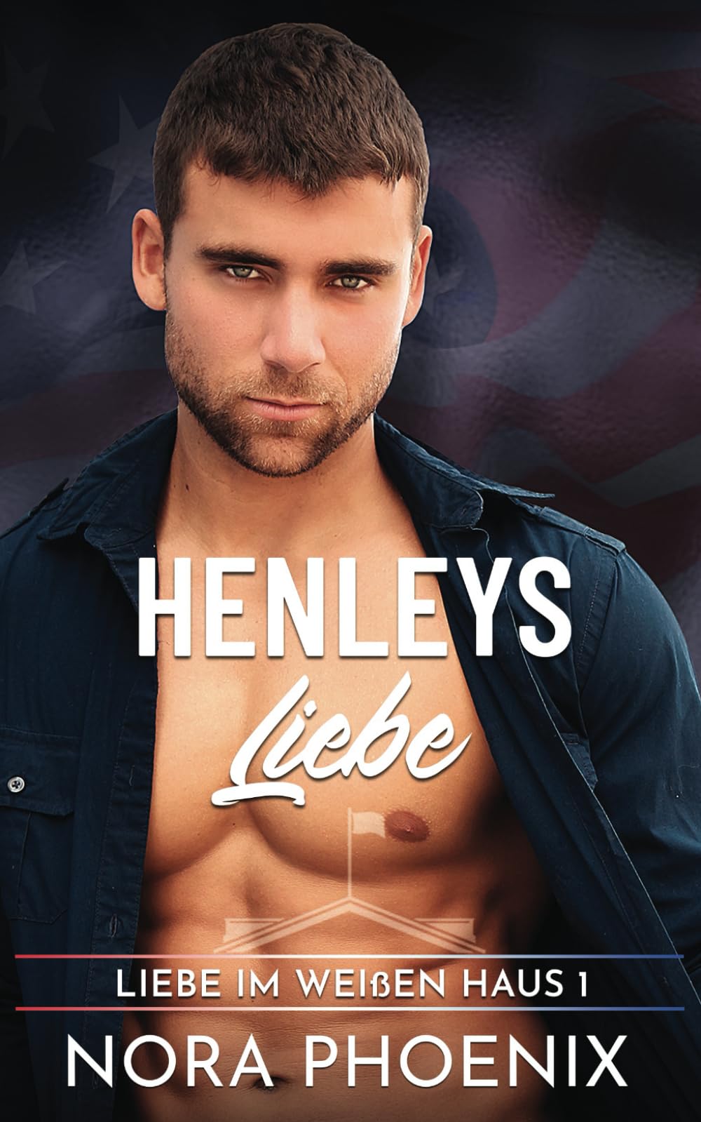 Henley's Liebe (Liebe im Weißen Haus, Band 1) LGBTQ+
