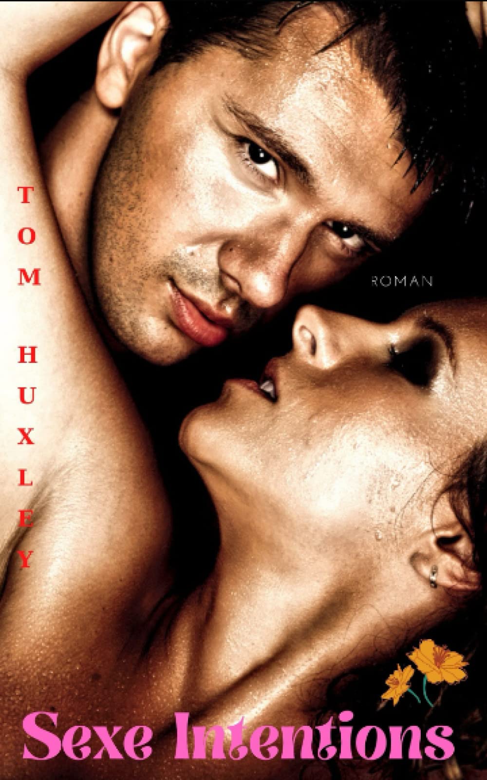 Sexe Intentions book